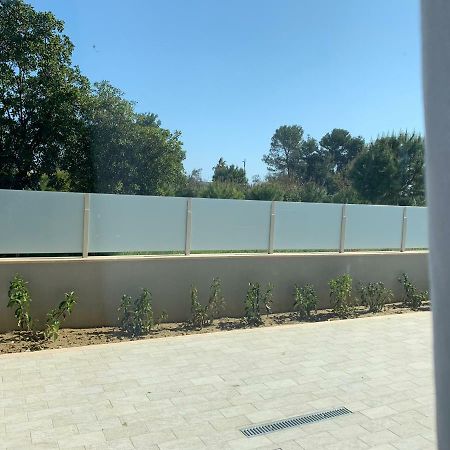 Appartamento Pineta A Mare Montesilvano Marina エクステリア 写真